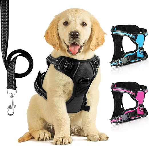 71vzjhan7fl. ac sx522